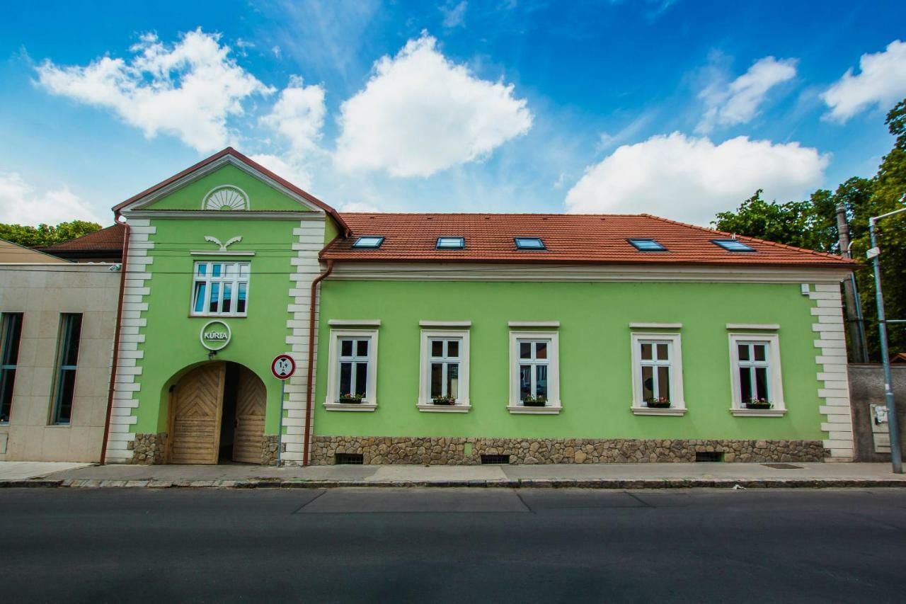 Penzion Kuria Nove Mesto nad Vahom Ngoại thất bức ảnh